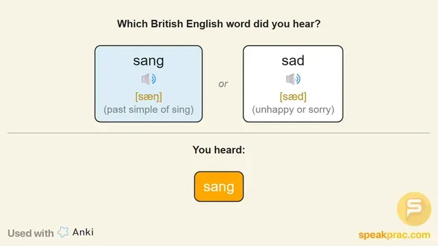 Minimal Pairs Flashcard Examples
